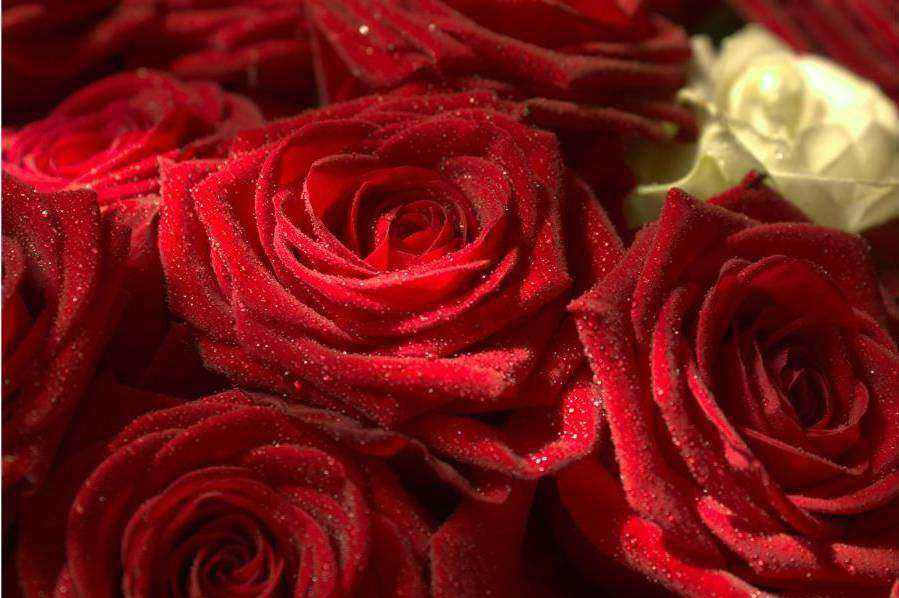 Bouquet elegante urgente